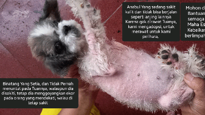 donasi-hai-orang baik, dimanapun berada, semoga dalam kea