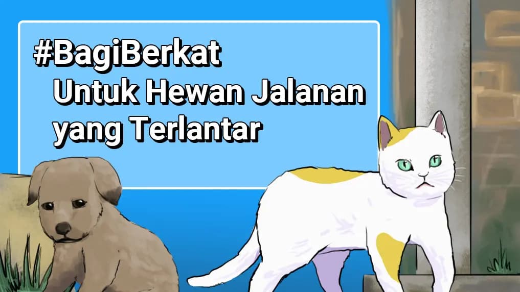 donasi-bagiberkat-untuk-hewan-jalanan-yang-terlantar